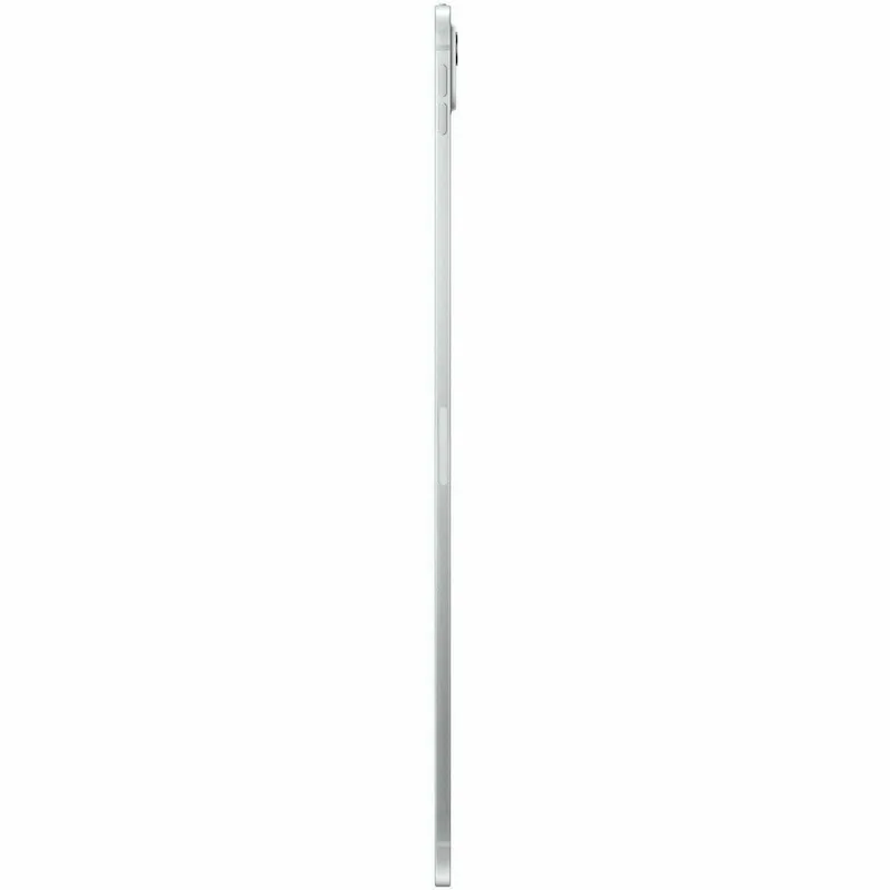 IPAD PRO 11 (M5) WF CL 2TB SLNT