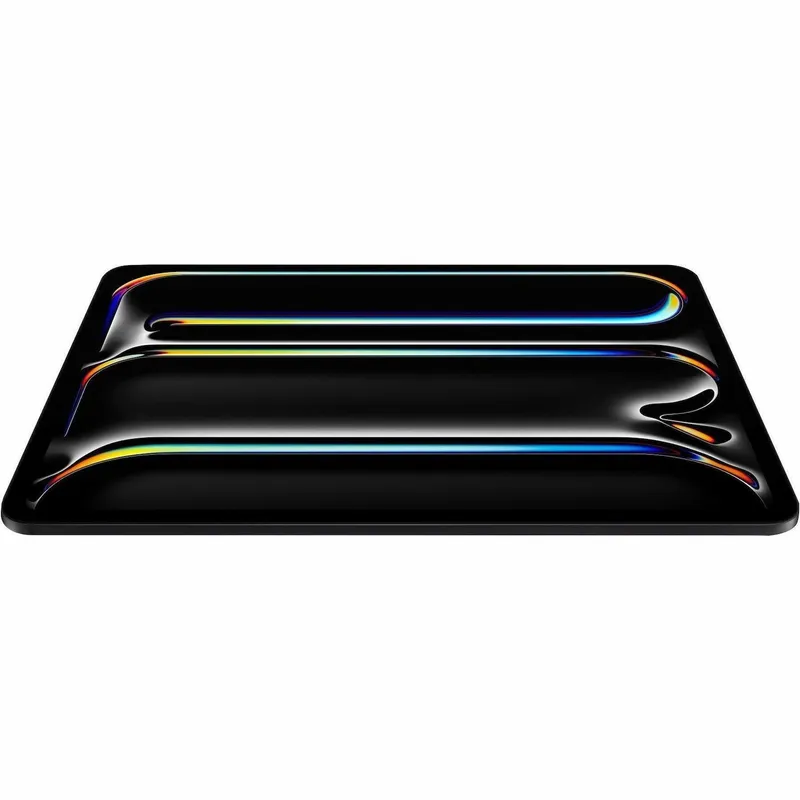 IPAD PRO 11 (M5) WF CL 2TB SBNT
